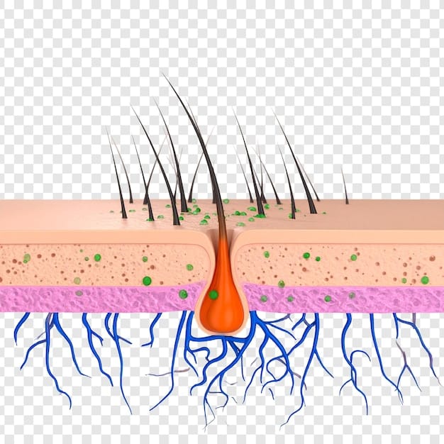 A schematic diagram illustrating a healthy hair shaft contrasted with a damaged hair shaft, showing lifted cuticles and porous areas, emphasizing the need for reparative ingredients.